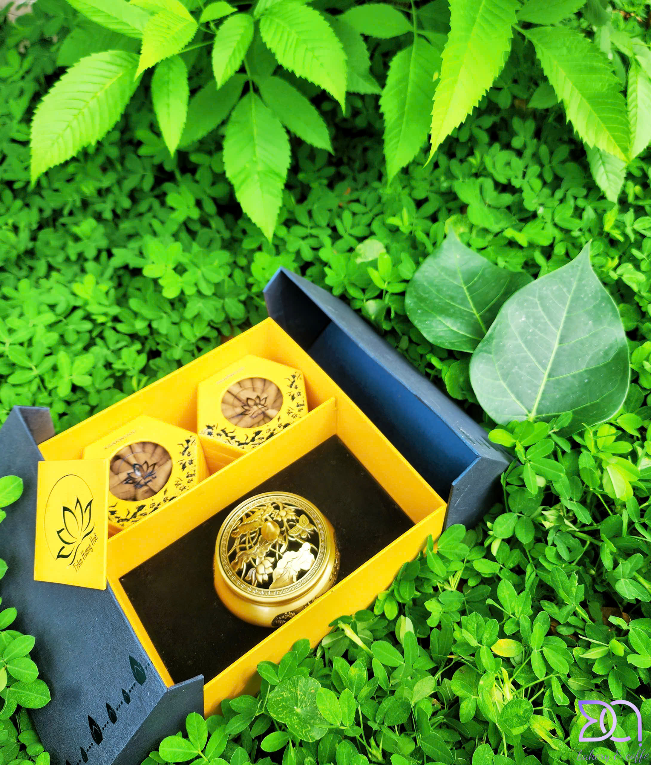 TRẦM HƯƠNG HUẾ