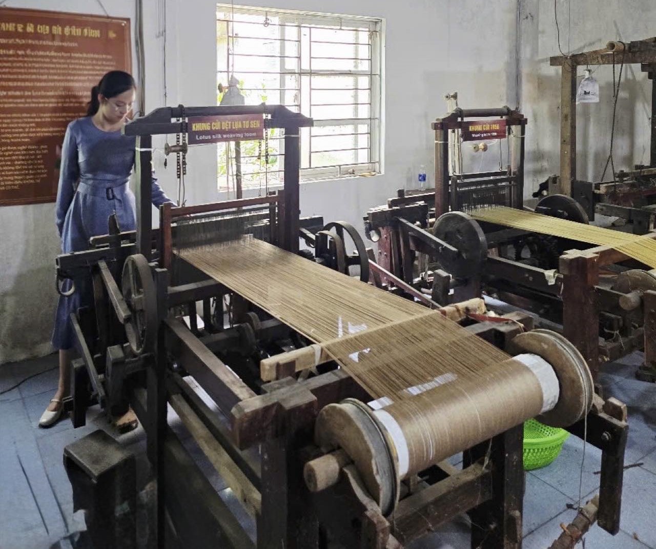 Dòng Chảy Di Sản